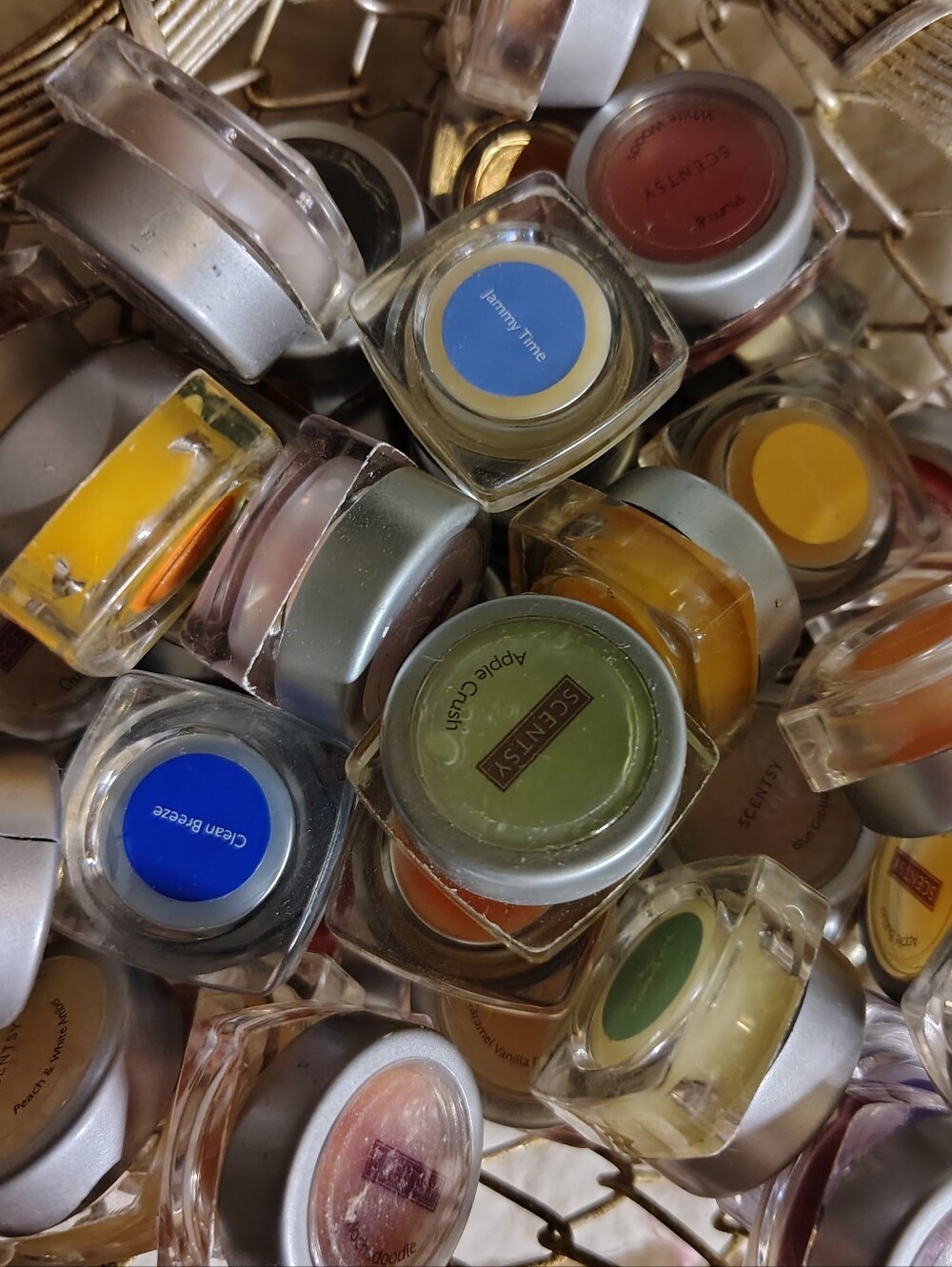 Scentsy Mini Tester Lot Huge Collection of 48 Scented Wax Cups